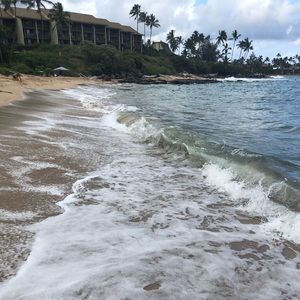 Meet your Posher, Frances